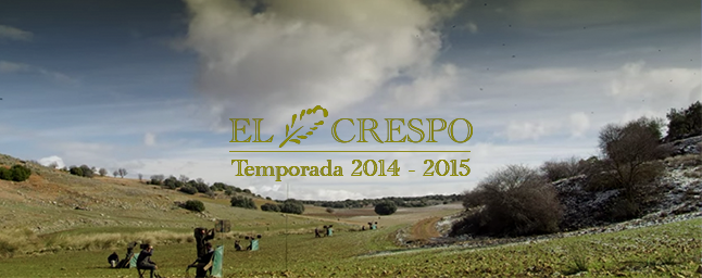 temporada 2014 2015 caza de la perdiz en España